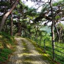 장계관광지 이미지