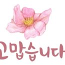 콩마당 Daum카페