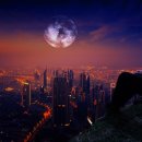 성공적인 실패전략과 실패하는 성공전략 이미지