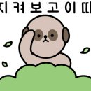 주안역 센트레빌 아파트 이미지