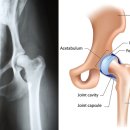 서동 동물메디컬센터 이미지