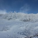 쪽빛하늘로 이미지