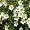 생태와 기후변화이야기 이미지