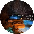 오키나와 가볼만한곳 | 오키나와월드 투어: 교쿠센도 동굴 소요시간 및 에이사공연 솔직평