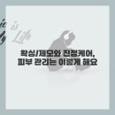 태닝매니아충북