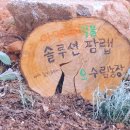 수림농장 이미지