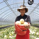 기순농장 이미지