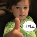 춘광 | W06. 부산 야외 웨딩 스냅 춘광 내돈내산 후기 (말많음 주의)