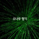 5G 보다 빠른 시간~ 이미지