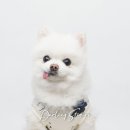 달링스튜디오 이미지