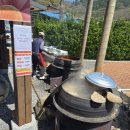 도화보건지소 | 곧 만개! 고령 도진마을 능수도화 다녀온 후기 (4월8일 방문)