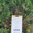 솔정펜션 이미지