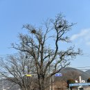 중동1리(한천) 이미지