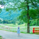 웰컴투목장 이미지