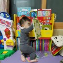 (D+487~489) 북이랑 놀이랑 종강, 책 읽기 조하^^