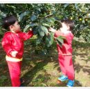 효동농장 이미지