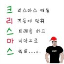 메리포레스트