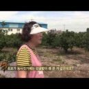 남원읍-72 이미지