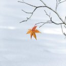 차가운 겨울 길목에서 이미지