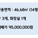 금성빌라 앞 이미지