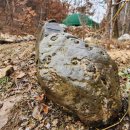 일광농장 이미지