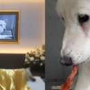 무지개간식 이미지