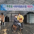 푸른나무사회적협동조합 이미지