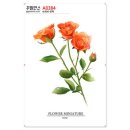A0384 쇼핑하우