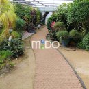 고일농장 이미지