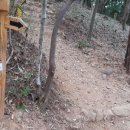 고도교차로~해남교차로 이미지