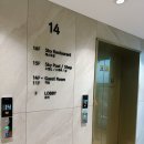 애견호텔 "중독" | 여행첫날, 경주 체스터톤스 신상 수영장 호텔 숙박, 조식 후기