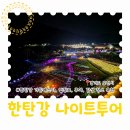 안젤로니아 | 2026 포천 한탄강 가든페스타 나이트투어 입장료 야간 모습까지