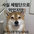 [용산 맛집] 광고인데요, 제진심을다해 추천드려요 찐이예요🖤 미나리밭오리사냥 용산 모든메뉴가 미쳤다...