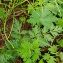 전호농장 이미지