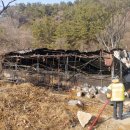 남해축산 이미지