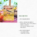 위치스데이 Daum카페