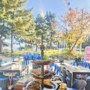 전경대파상회 | 속초 해수욕장 맛집 조개상회 솔직후기 주차/맛 모든것