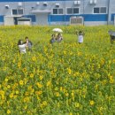 원주시농업기술센터 이미지