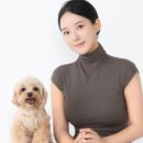 멍그니엘 애견호텔 경기광주점 이미지