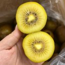 ❤️🍇 레드클라렛포도 🫐 대용량 블루베리 🍈 머스크메론 🍑 백도 / 황도 🍊 카라카라 오렌지 🍎 홍로햇사과 이미지