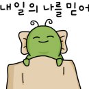 오늘부터 운동PT 이미지