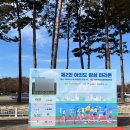 영양군청 자전거보관소 | [2024 제2회 여의도 밤섬마라톤] 10km 참가 및 완주 후기