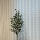 녹지원 농장 이미지