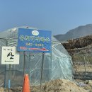 (주)유포리막국수 티스토리