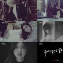 더히스토리