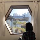 안목당
