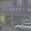 케나인동물병원 네이버블로그