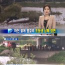 동화천1 헤럴드경제