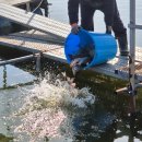 성호낚시터 이미지