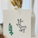 쌤글씨교정센터